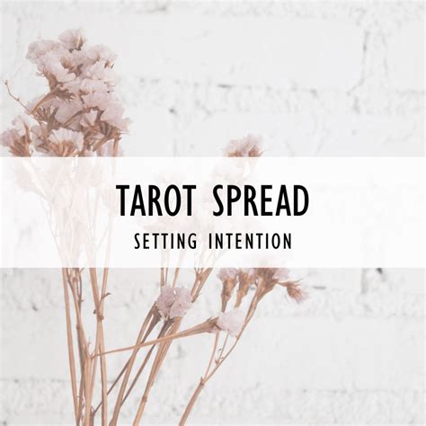 Exploring the Archetypes in Common Witch Tarot Decks